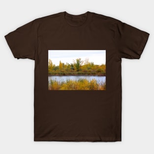 Autumn Pond No.2 T-Shirt